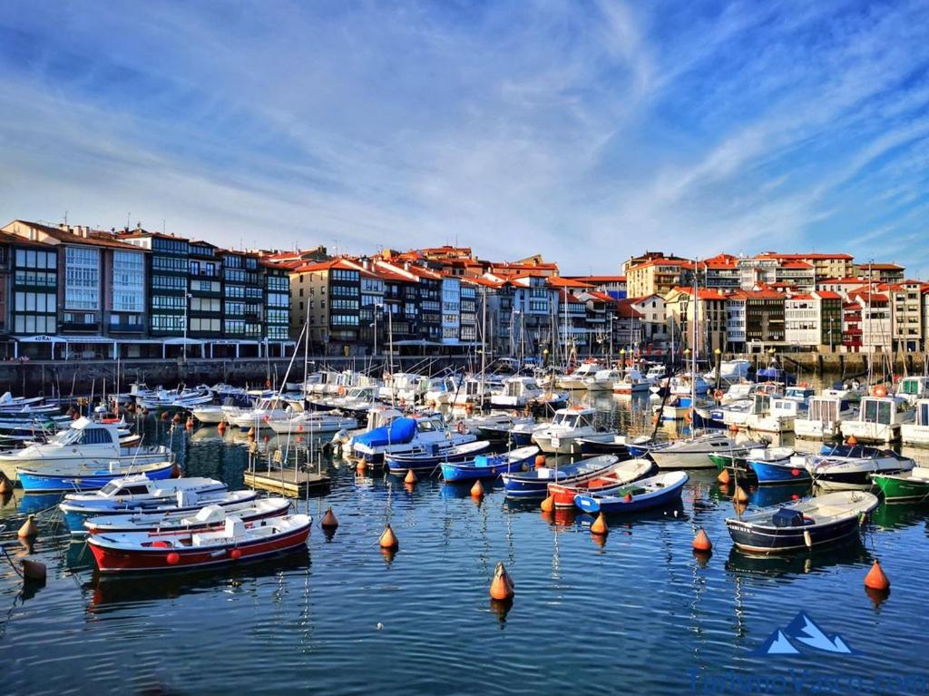 Coqueto Apartamento En El Casco Viejo 레케이티오 외부 사진